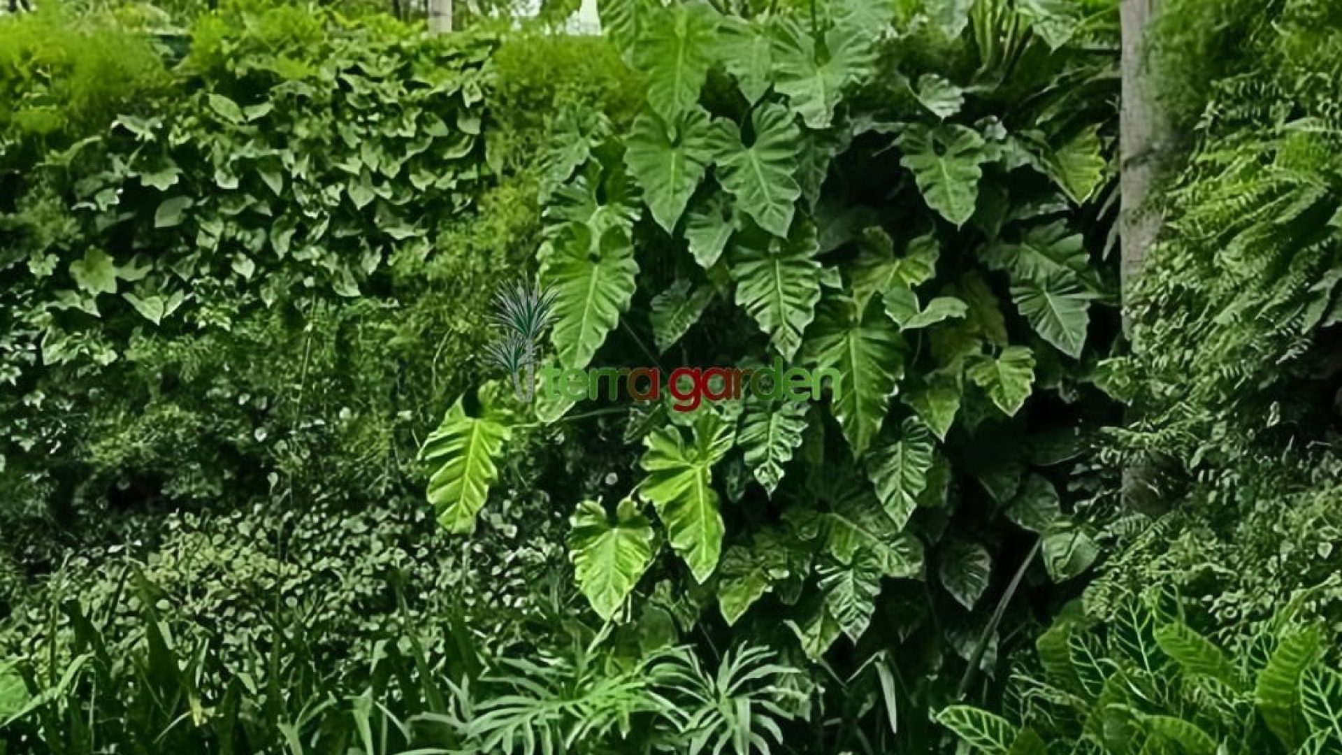 Pembuatan Vertical Garden